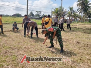 TNI–Polri Bersatu Dukung Program Pertanian, Babinsa Tembuku Ikut Tanam Jagung Kuartal IV