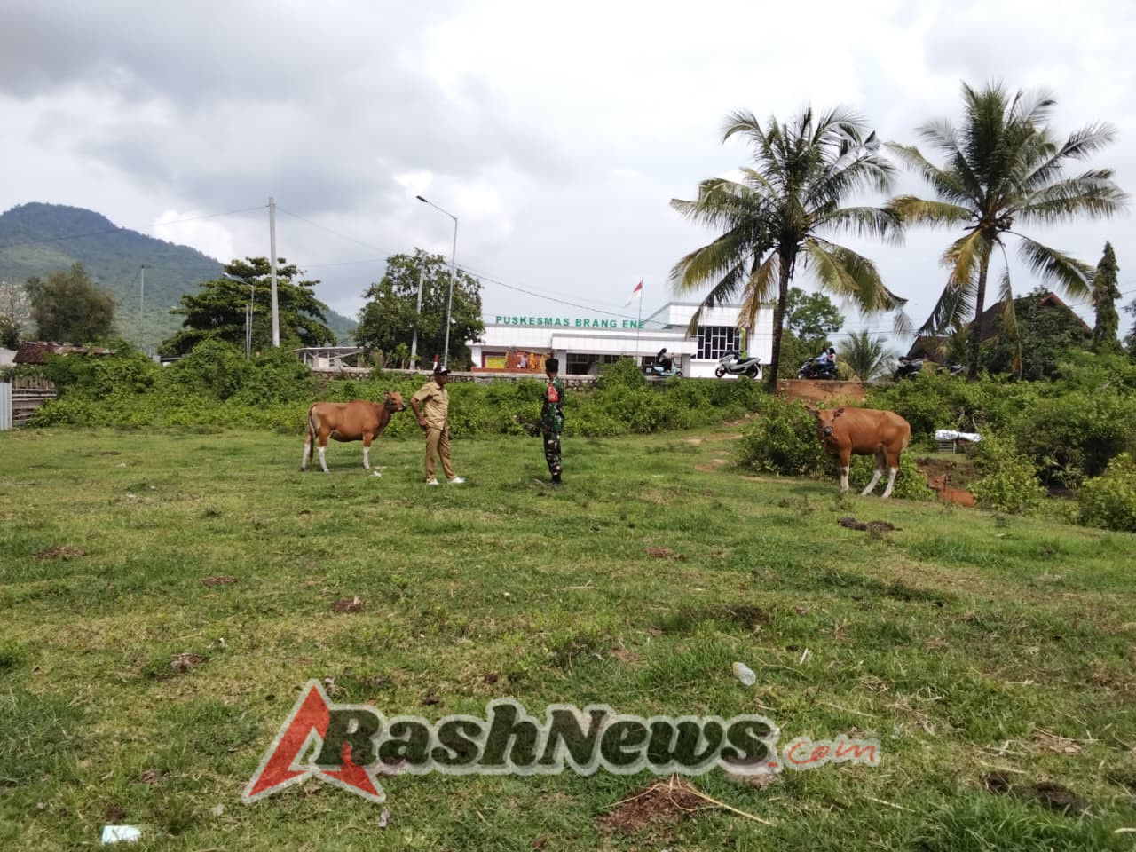 Semangat Kebersamaan Babinsa dan Warga Senayan Warnai Kegiatan Gotong Royong di Poto Tano