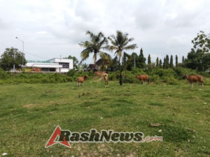 Koperasi Desa Merah Putih Syariah Siap Dibangun, Babinsa Desa Manemeng Kodim 1628/KSB Lakukan Peninjauan Lokasi