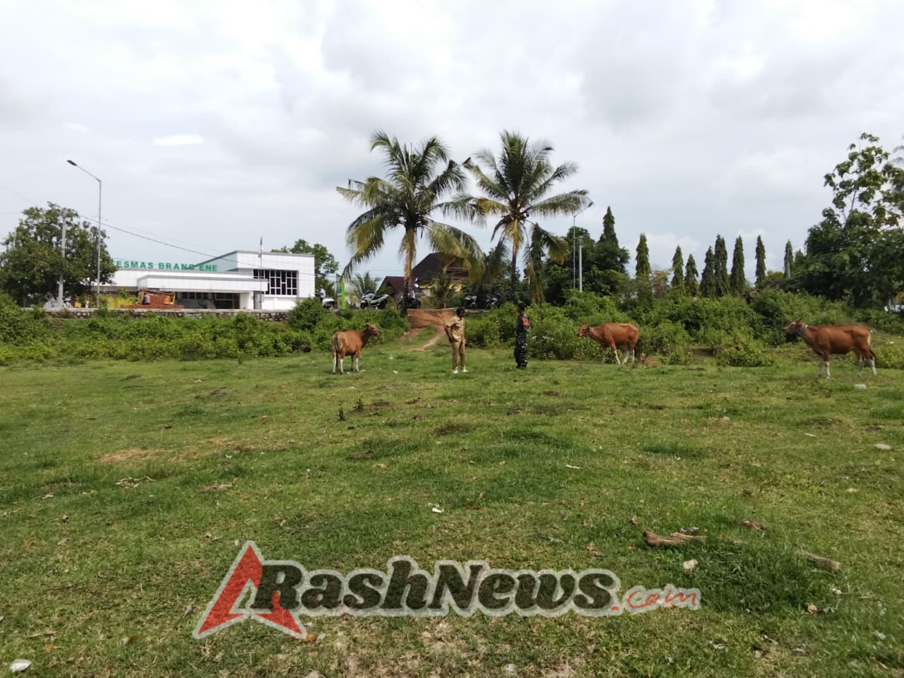 Koperasi Desa Merah Putih Syariah Siap Dibangun, Babinsa Desa Manemeng Kodim 1628/KSB Lakukan Peninjauan Lokasi