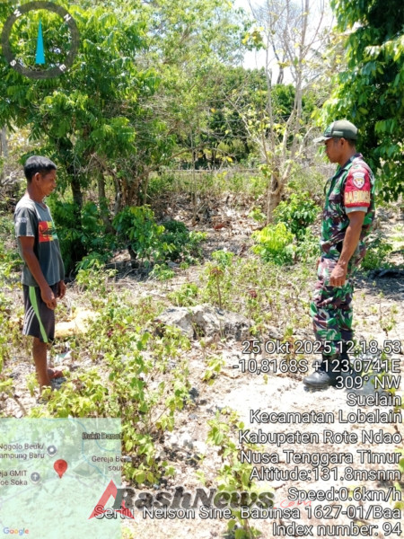 Babinsa Ba’a Dampingi Pengecekan Lahan Koperasi Merah Putih di Desa Suelain