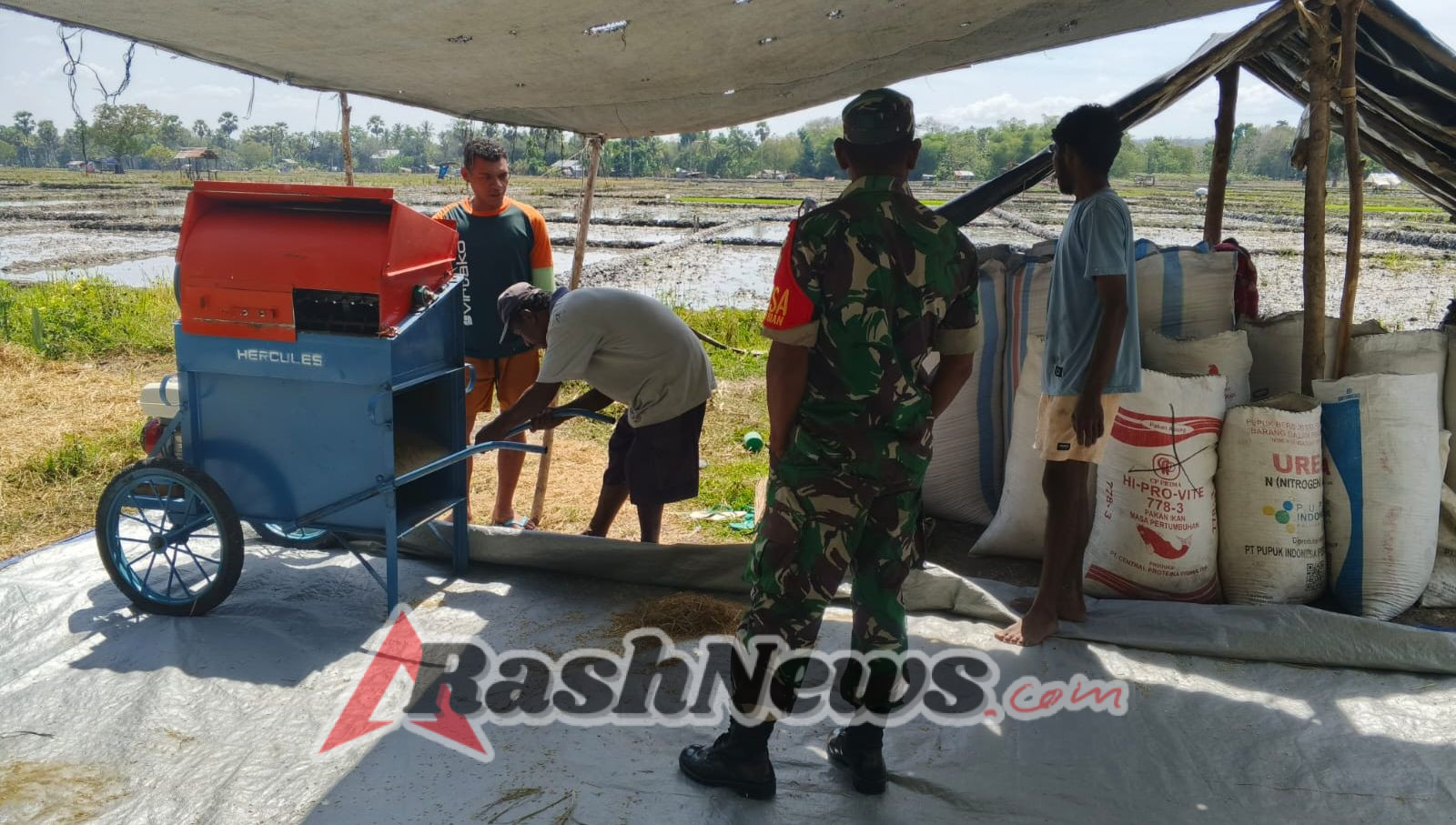 Babinsa Koramil 1618-06/Bian Beri Motivasi Petani Desa Kaubele