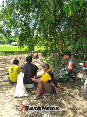 Komsos Babinsa Desa Loka, Ajak Petani Siaga Garap Lahan Pertanian