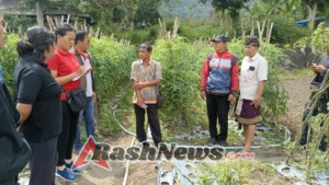 Satuan Intelkam Polres Bangli Laksanakan Monitoring Bahan Pokok dan Bahan Strategis Lainnya