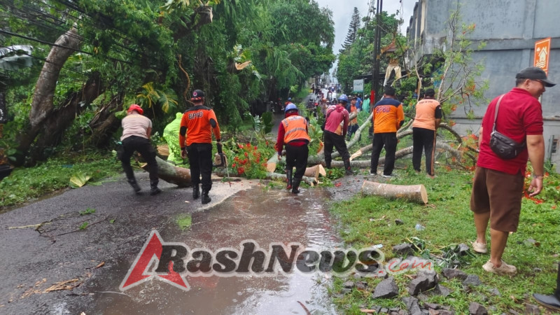 Polsek Kerambitan Tanggap Bencana-Pohon Tumbang di Ds Kukuh Kerambitan.
