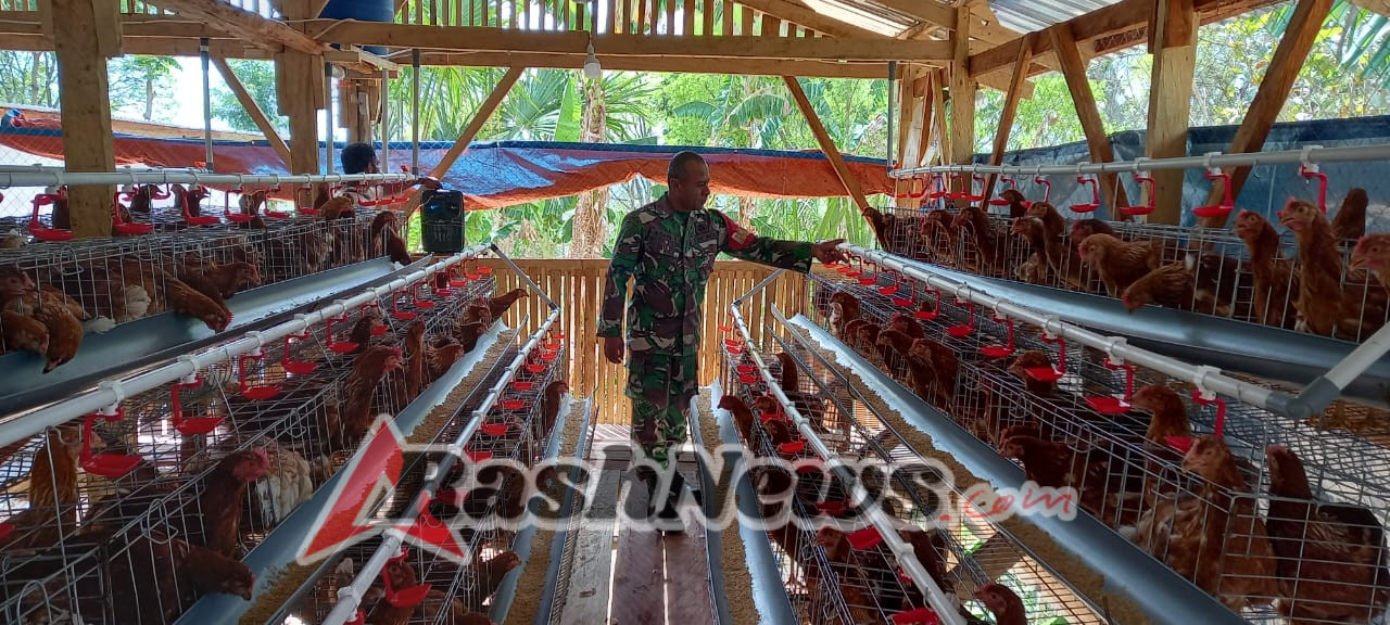 TNI AD dan Pemerintah Desa Bersinergi, Babinsa SoE Aktif Kawal Program SDGs dan Usaha Rakyat