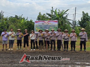 Penanaman Jagung Serentak Kuartal IV di Sanur Kauh, Polresta Denpasar Dukung Swasembada Pangan 2025