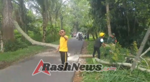 Respons Cepat Babinsa dan Bhabinkamtibmas Desa Selat Atasi Gangguan Lalu Lintas Akibat Pohon TumbangRespons Cepat Babinsa dan Bhabinkamtibmas Desa Selat Atasi Gangguan Lalu Lintas Akibat Pohon Tumbang