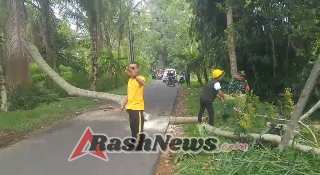 Respons Cepat Babinsa dan Bhabinkamtibmas Desa Selat Atasi Gangguan Lalu Lintas Akibat Pohon TumbangRespons Cepat Babinsa dan Bhabinkamtibmas Desa Selat Atasi Gangguan Lalu Lintas Akibat Pohon Tumbang