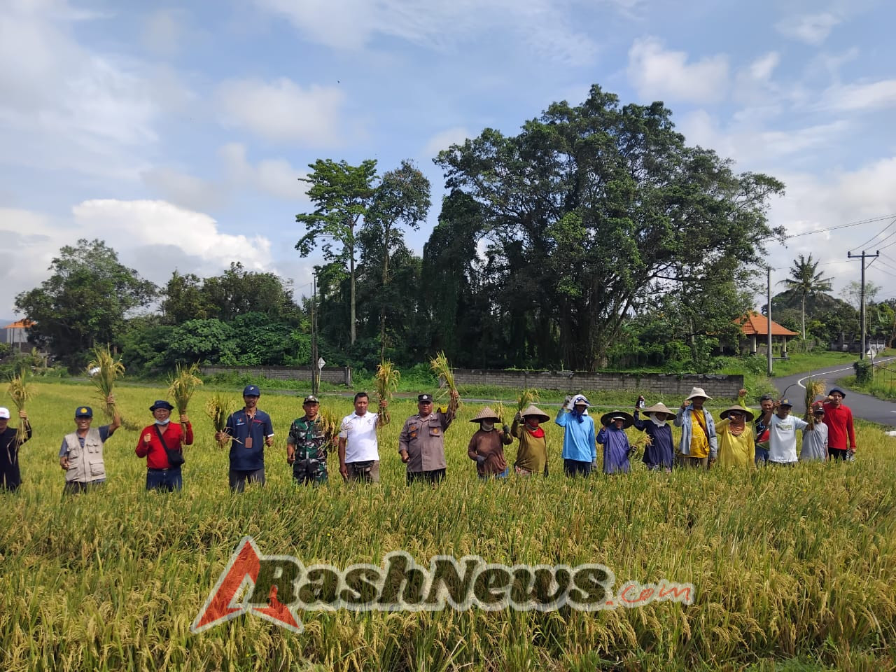 Sinergi 3 Pilar, Bhabinkamtibmas Ds. Berembeng Kawal Gerakan Panen Padi Demi Swasembada Pangan 2025