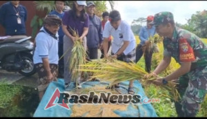 Babinsa Tegallalang Kawal Program Pemerintah Menuju Swasembada Pangan
