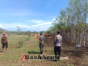 Warga Antusias Ikuti Kegiatan Registrasi dan Vaksinasi Hewan di Tambak Sari