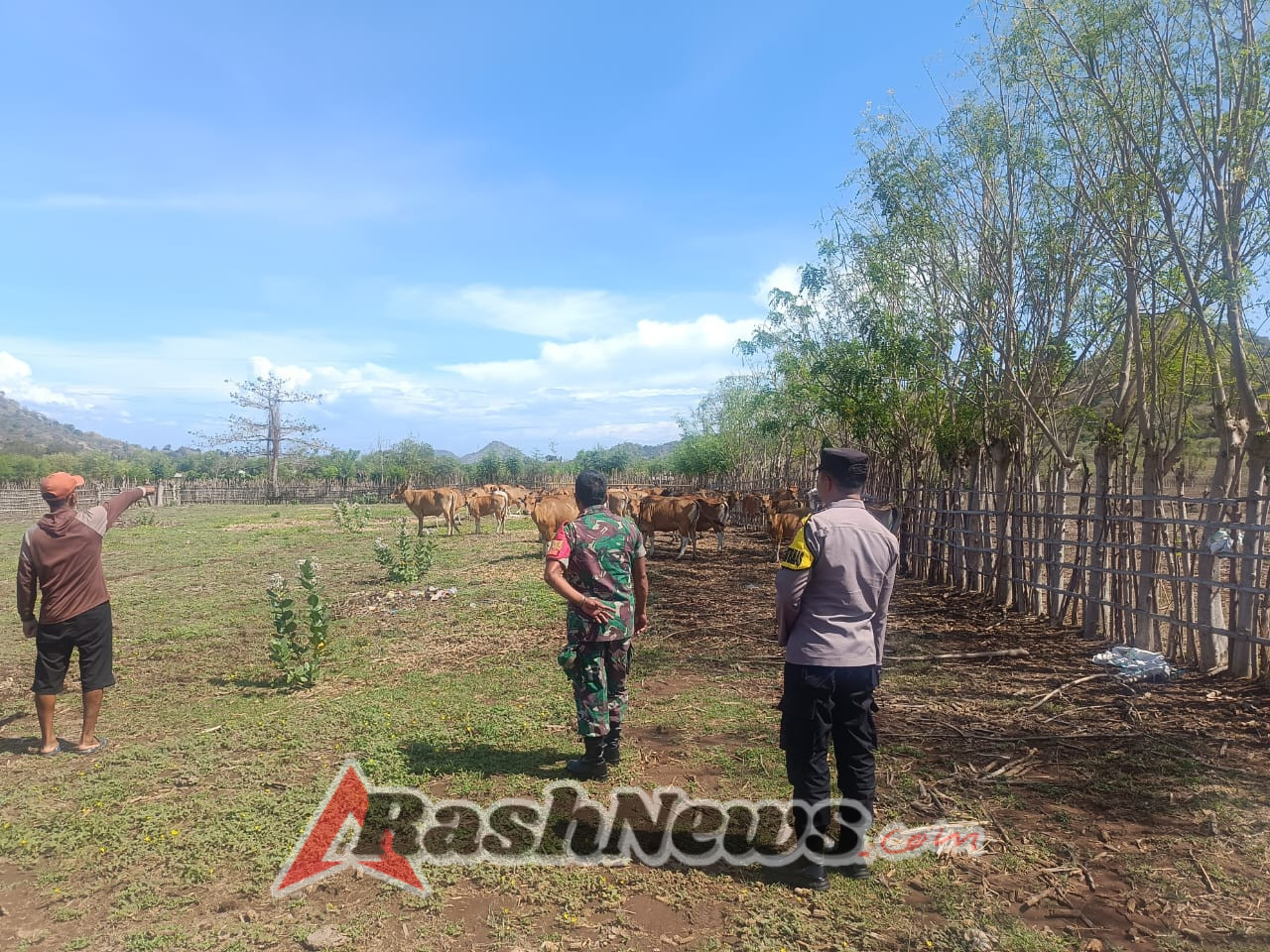 Warga Antusias Ikuti Kegiatan Registrasi dan Vaksinasi Hewan di Tambak Sari