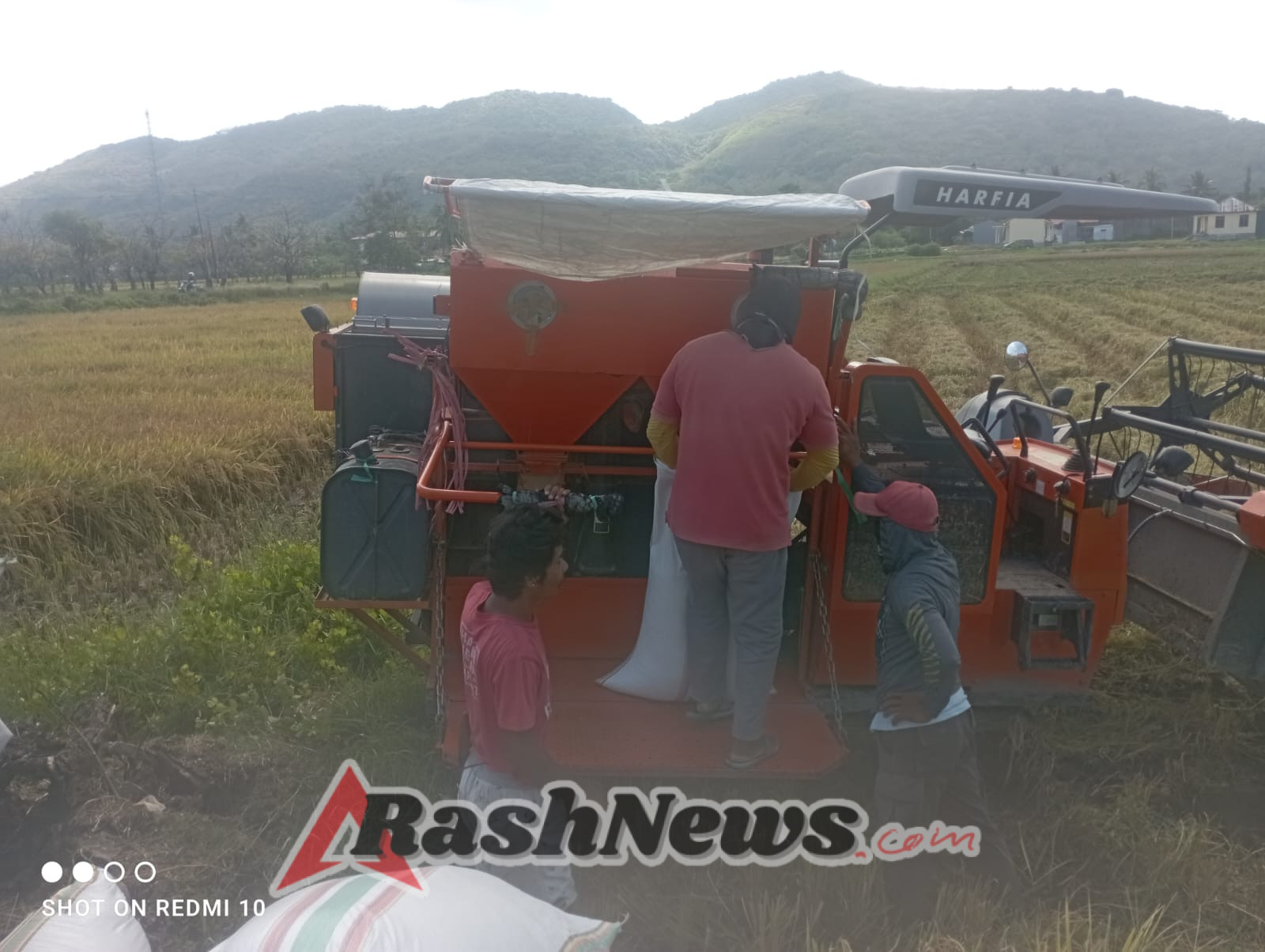 Bersama Rakyat, Babinsa Koramil 1612-02/Reok Jaga Ketahanan Pangan Lewat Pendampingan Pertanian
