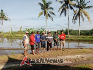 Desa Pangkung Karung Gelar Gerakan Tanam Padi Bersama, Babinsa Dukung Peningkatan Swasembada Pangan