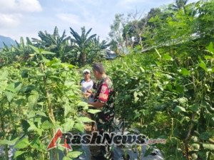 Wujudkan Kemanunggalan TNI dan Rakyat, Babinsa Koramil 01/Ende Gelar Komsos di Kelurahan Ndorurea