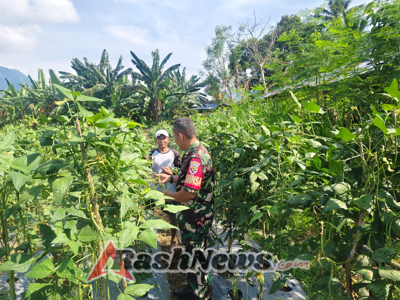Wujudkan Kemanunggalan TNI dan Rakyat, Babinsa Koramil 01/Ende Gelar Komsos di Kelurahan Ndorurea