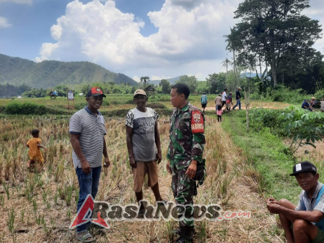 Kegiatan Komsos Babinsa Koramil Monta Berjalan Lancar Demi Keamanan dan Ketertiban