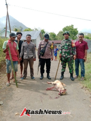 Demi Lingkungan Aman, Babinsa Koramil 1612-05/Satar Mese Edukasi Warga Soal Bahaya Hewan Pembawa Rabies