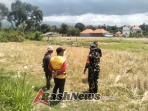 Dukung Produktivitas Petani, Babinsa Jinengdalem Bersama Tim PUPRKIM Lakukan Tinjauan Sumur Bor Pertanian