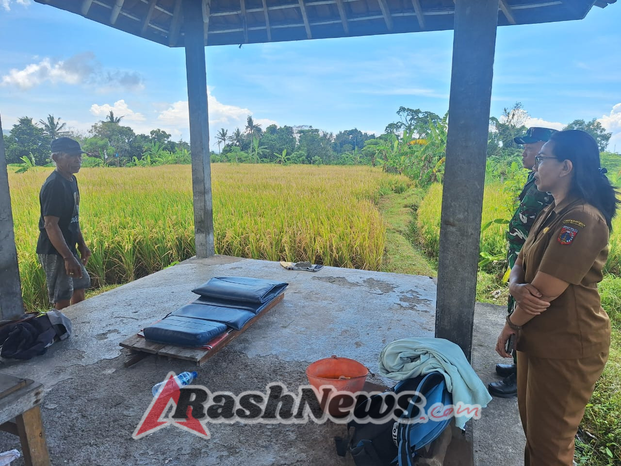 Motivasi para petani agar lebih produktif, Danramil 1623-01/Karangasem tinjau lahan padi siap panen di Subak Abian Sanghang.