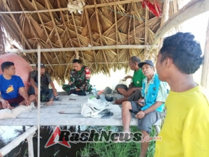 Wujudkan Kemanunggalan TNI Bersama Rakyat, Serda Basuki R Komsos Bersama Petani Di Desa Bena