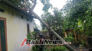 Sinergi Babinsa dan Warga Atasi Dampak Angin Kencang di Kuripan