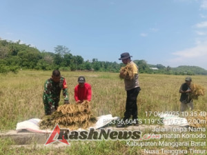 Sinergi Aparat dan Masyarakat, Keberhasilan Panen Raya BUMDes di Kampung Weor