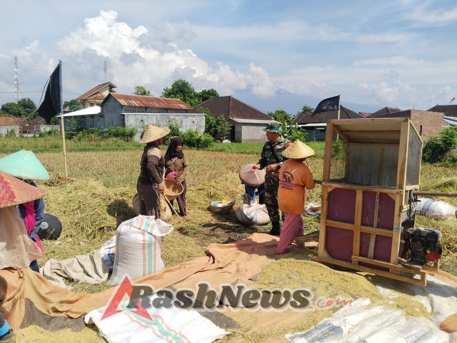 ‎Babinsa Koramil 1615-02/Pringgabaya Beri Pendampingan Petani Desa Batuyang Saat Panen