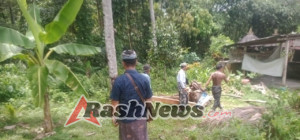 Pastikan Kesiapan, Babinsa Besan Dan Dinas DLHP Cek Lokasi Tanam Pohon Di Areal Pura Puseh Besan
