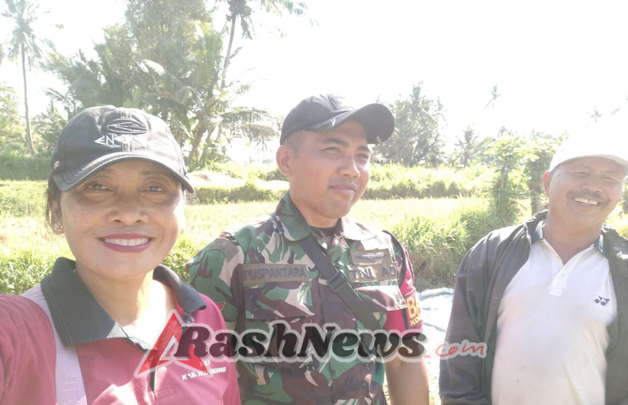 Dampingi Pengubinan, Upaya Pendampingan Melekat babinsa Tohpati Sukseskan Penguatan Hanpangan