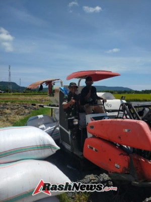 Dampingi Petani dari Hulu ke Hilir, Babinsa Koramil 1612-02/Reok Tunjukkan Wujud Nyata Kepedulian TNI