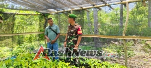 Babinsa Nangapanda Pererat Hubungan dengan Warga Lewat Kegiatan Komsos dan Penyuluhan KakaoBabinsa Nangapanda Pererat Hubungan dengan Warga Lewat Kegiatan Komsos dan Penyuluhan Kakao