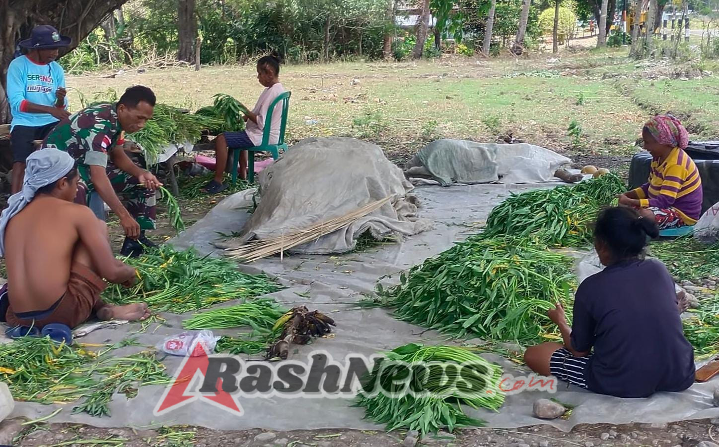 Pererat Hubungan dengan Warga, Babinsa Biut Bimbing Petani Hauteas Pasarkan Hasil Pertanian