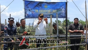 TNI AL dan Kodim 1603/Sikka Bersinergi Dorong Kemandirian Pangan di Nusa Tenggara Timur