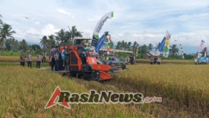 ‎ Kapten Inf. Abdul Wahab: Babinsa Siap Dampingi Petani dari Tanam hingga Panen