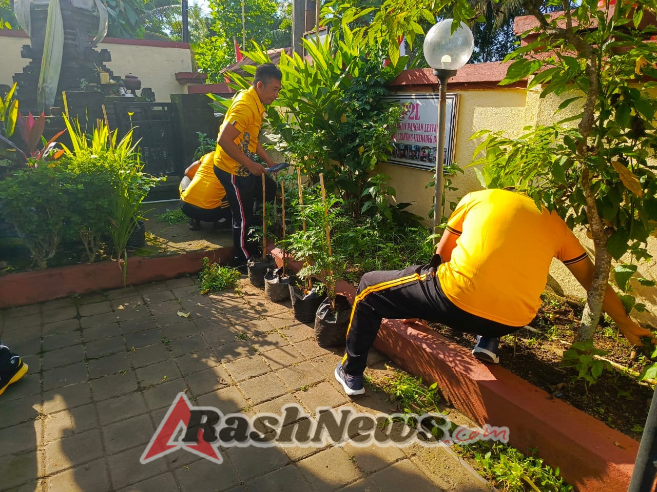 Polsek Selemadeg barat gelar Perawatan tanaman Cabai mewujudkan ketahanan pangan di tingkat lokal