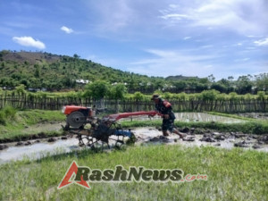 Sertu Abdullah Maulana Bantu Pembajakan Sawah dan Beri Edukasi Keselamatan Saat Hujan