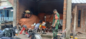 Musim Jagung Tiba, Babinsa Beri Edukasi Bahaya Hewan Berbisa