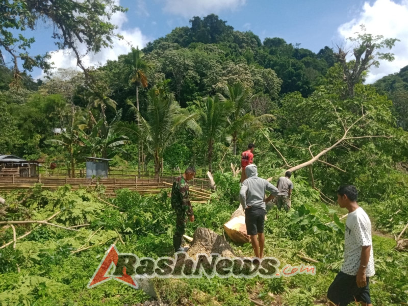 Dukung Perekonomian Desa, Babinsa Bantu Penyiapan Lahan Koperasi Merah Putih