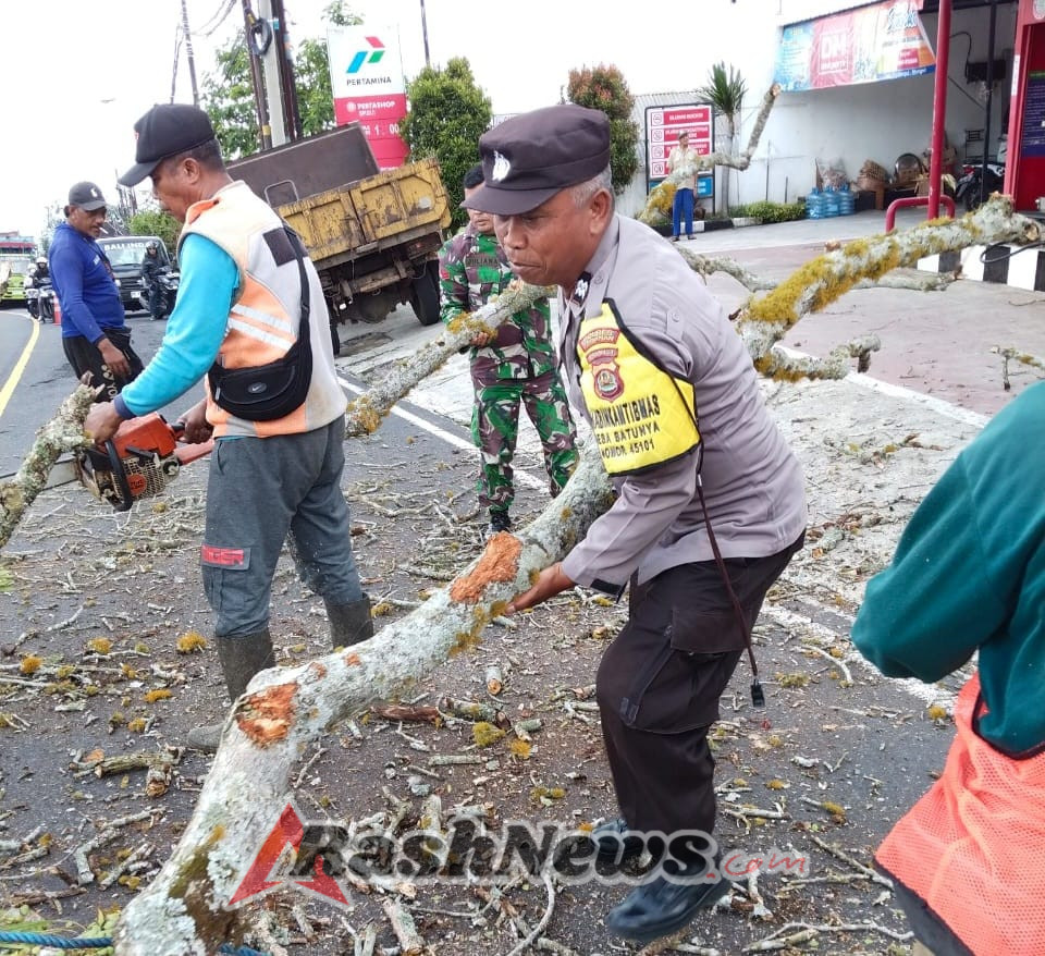 Babinsa Koptu I Kadek Juliana Kawal Penebangan Pohon Berpotensi Bahaya di Banjar Taman Tanda