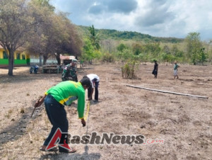 Lahan Koperasi Merah Putih di Wailawar Mulai Diukur Babinsa Bersama Perangkat Desa