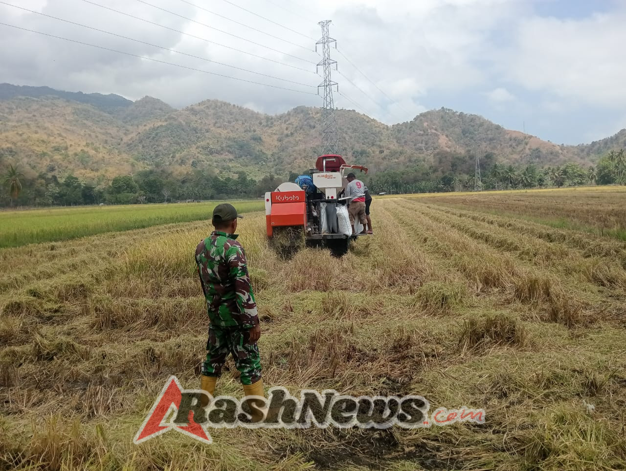 Babinsa Koramil 1602-04/Maurole Bersama Kelompok Tani Tingkatkan Ketahanan Pangan Lokal