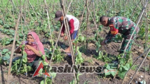 Babinsa Koramil 1624-03/Lewoleba Dukung Pertanian Berkelanjutan di Desa Hadakewa