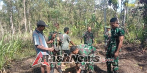TMMD ke-126 Kodim 1625/Ngada Tambahkan Kegiatan Fisik Penanaman Pohon Demi Desa yang Lebih Hijau
