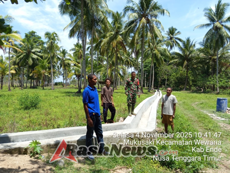 Sinergi TNI dan Kelompok Tani Embu Lesu Sukseskan Program Ketahanan Pangan di Ende