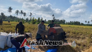 Babinsa Kopda Kadek Endra Wirawan Ajak Warga Giatkan Pertanian Demi Kesejahteraan Bersama