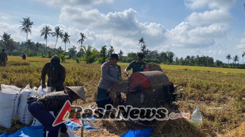 Babinsa Kopda Kadek Endra Wirawan Ajak Warga Giatkan Pertanian Demi Kesejahteraan Bersama