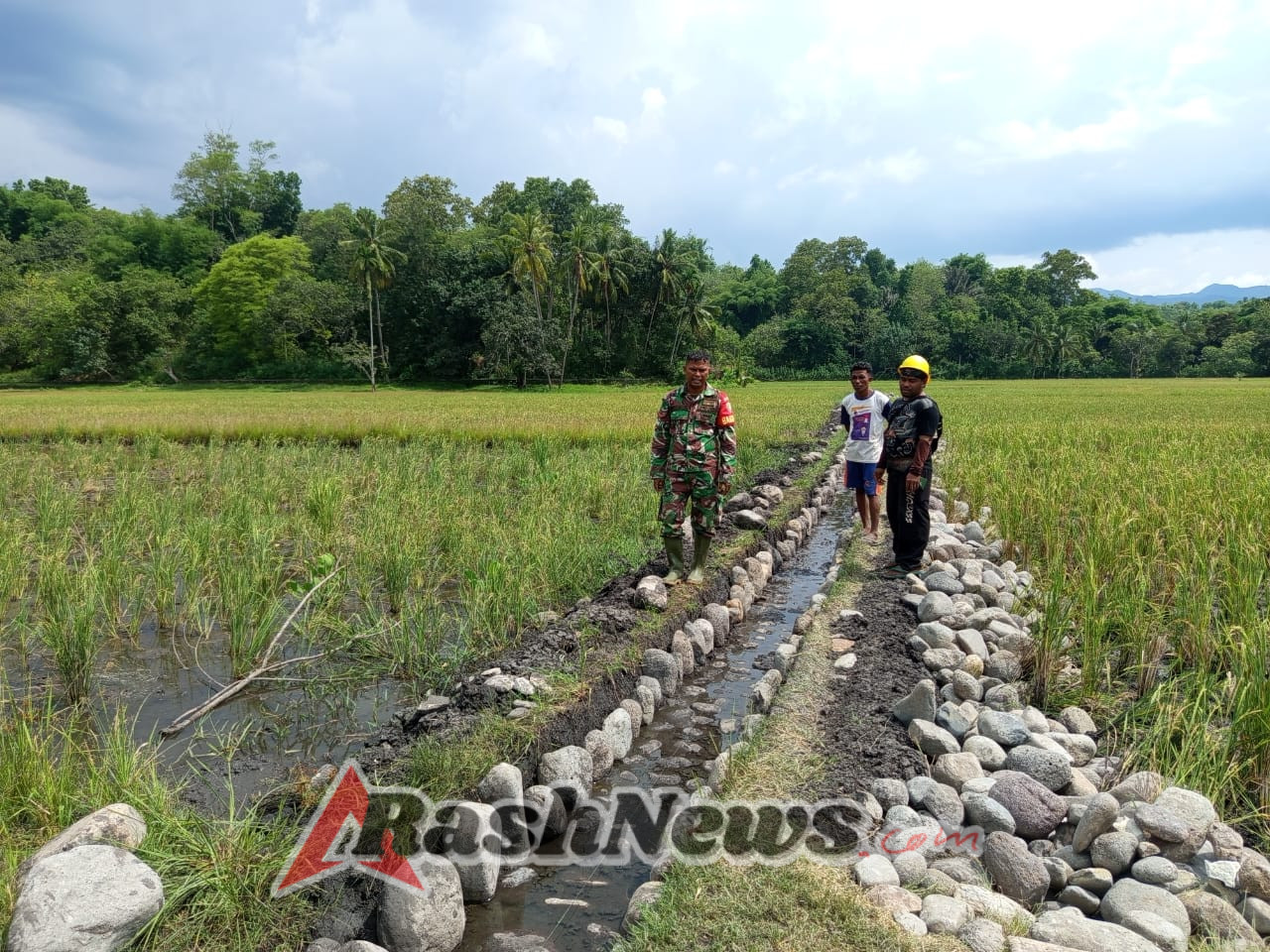 Sinergi Babinsa dan Kelompok Tani Tunas Harapan 2 Sukseskan Program Oplah di Ende