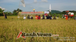 Sukseskan Swasembada Pangan Dan LTT, Babinsa Pesinggahan Ikut Serta Gerakan Panen Padi Bersama